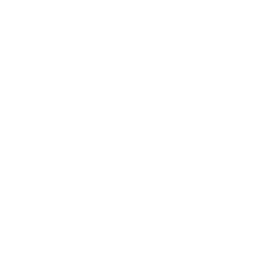 Gsi logo